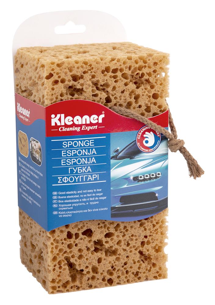 Big Cleaning Sponge