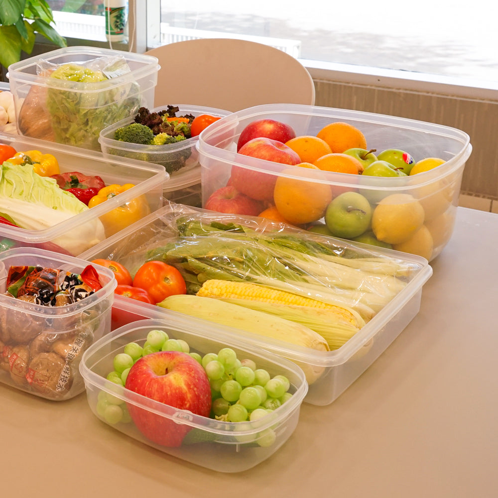 Eroo Container 3.65L (20x20x13cm)