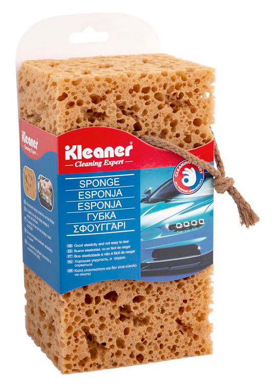 Big Cleaning Sponge