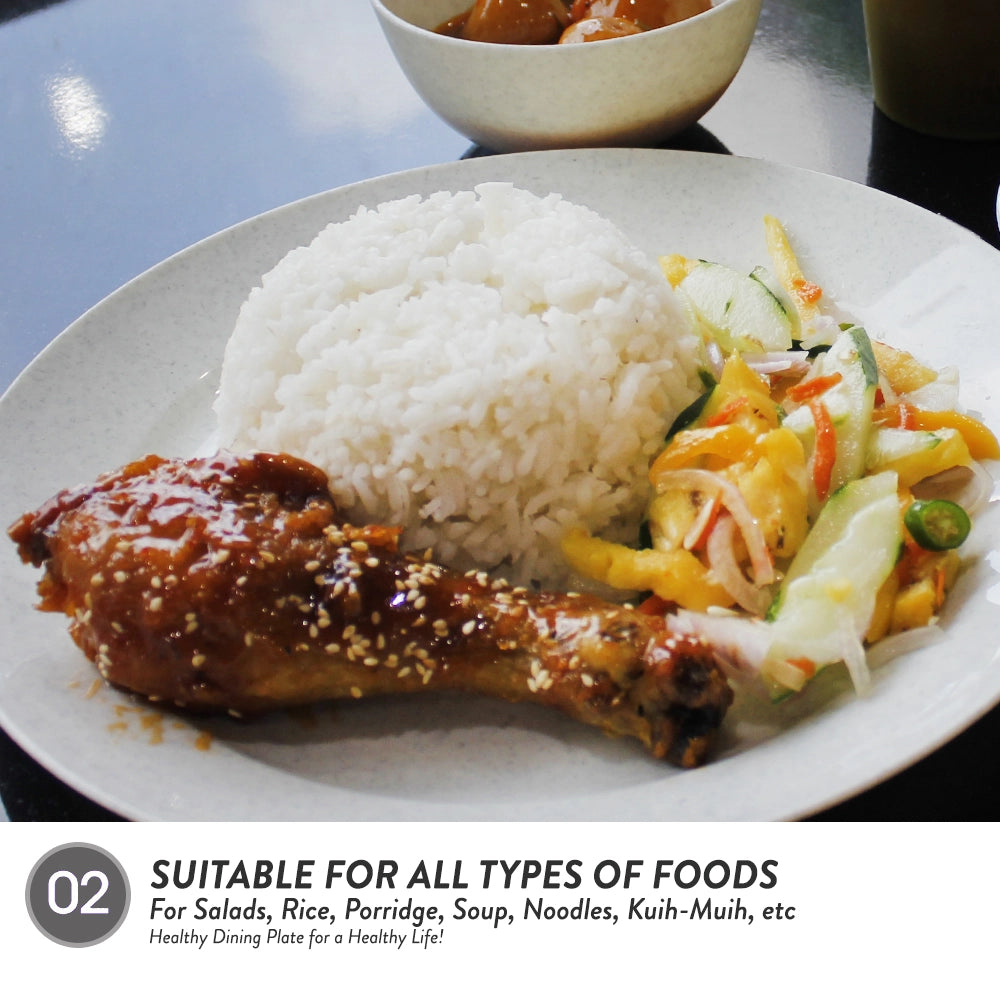 Dinner Plate - 10 Inch