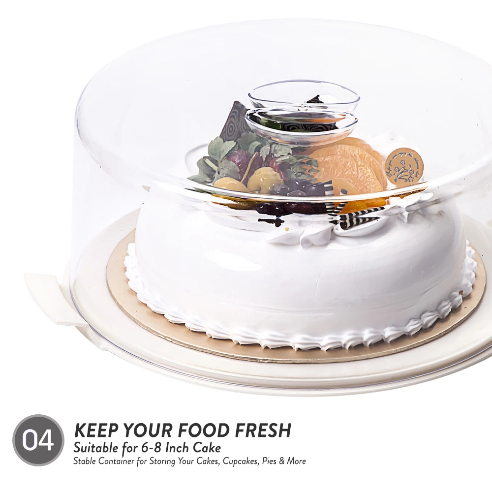 Cake Container